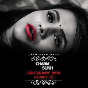 Charmsukh: Jane Anjane Mein 6 (Part-2) 2023