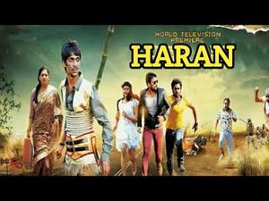 Haran 2020
