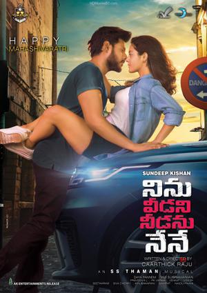 Ninu Veedani Needanu Nene 2019