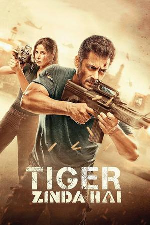 Tiger Zinda Hai 2017