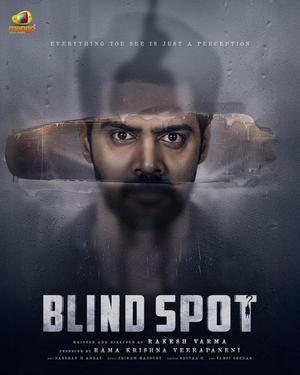 Blind Spot 2025