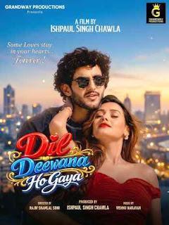Dil Deewana Ho Gaya 2026