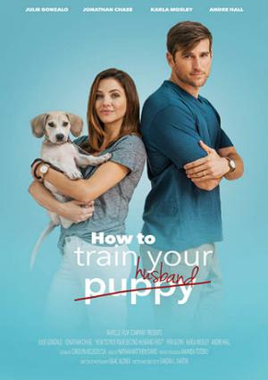 How To Train Your Husband 2017