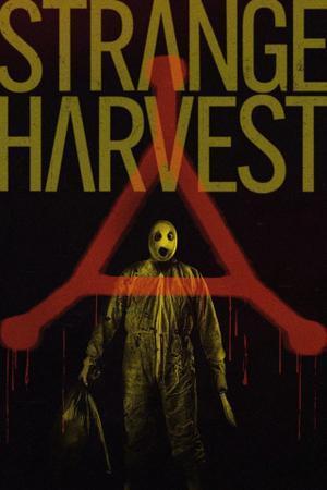 Strange Harvest 2024